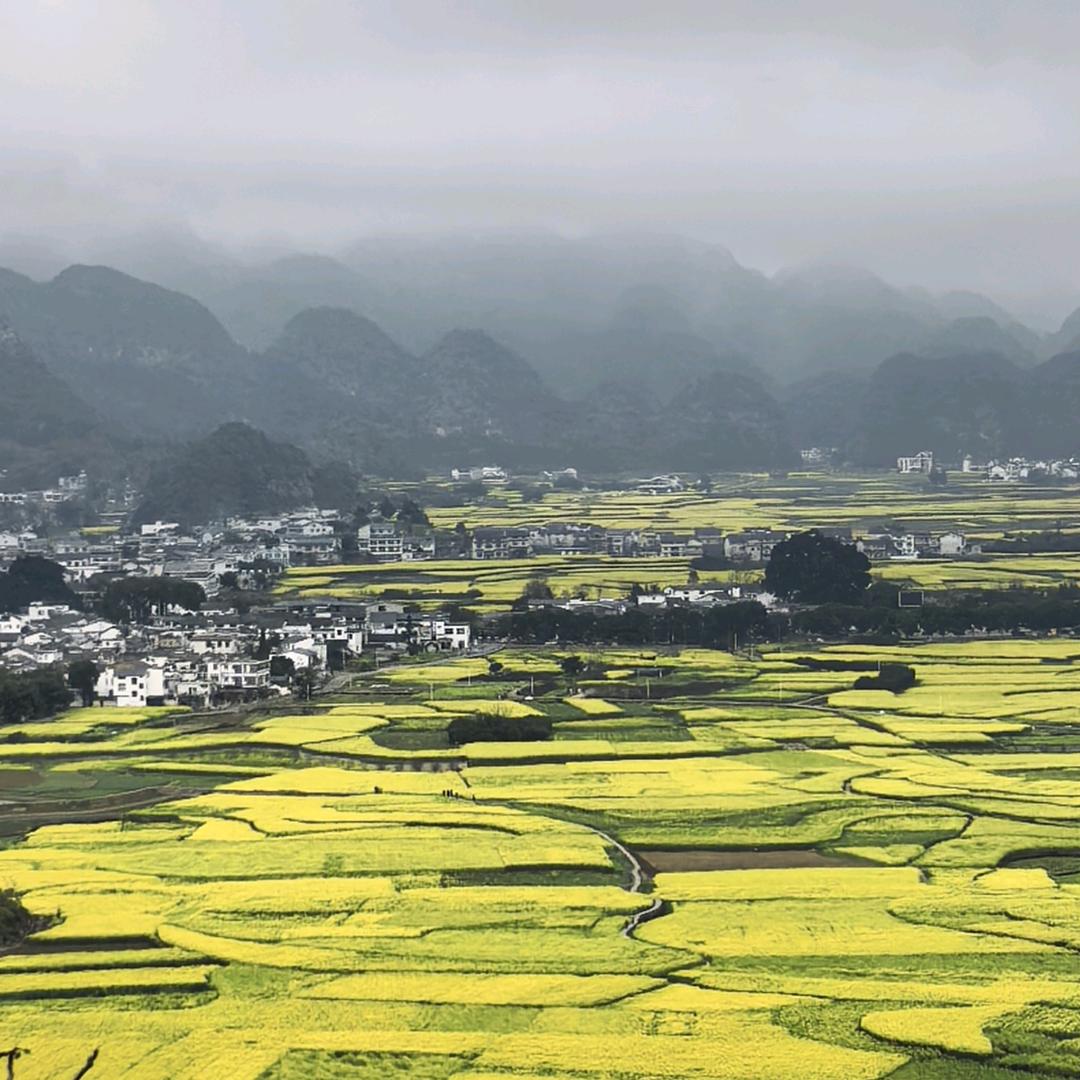 林林(拒私聊)