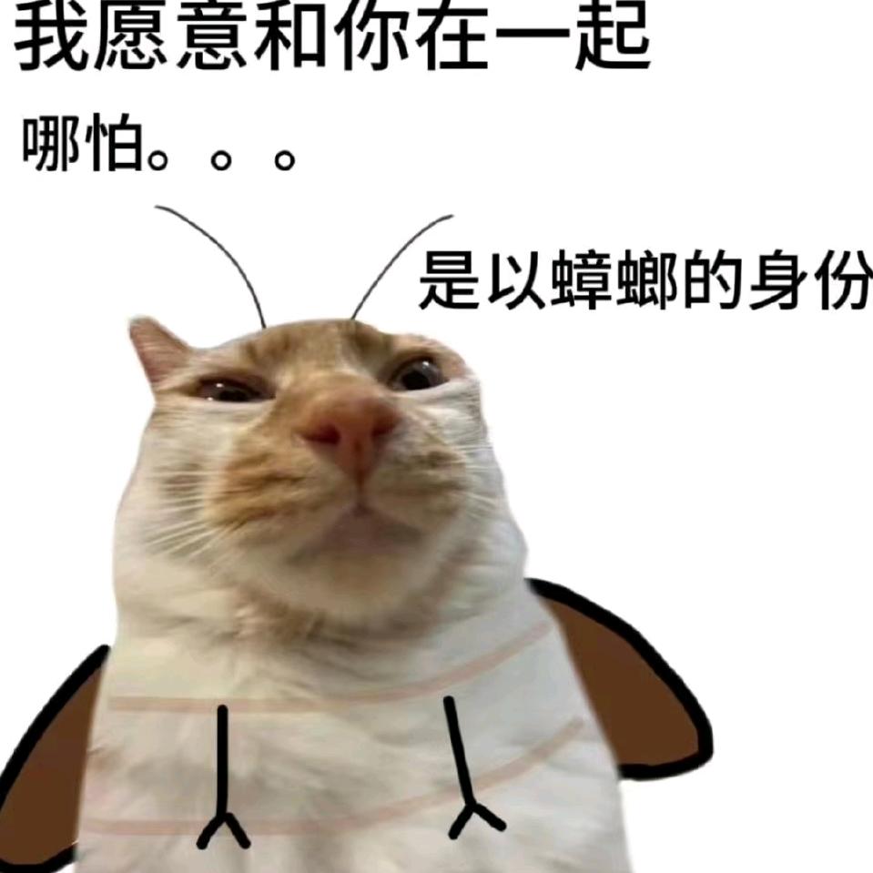 🤡她的酒窝没有酒