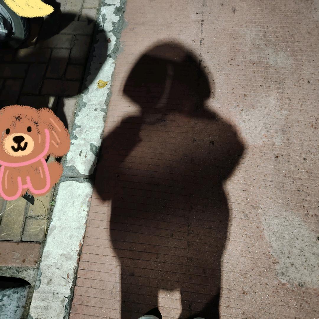 你怎么知道我猫鼠双全？