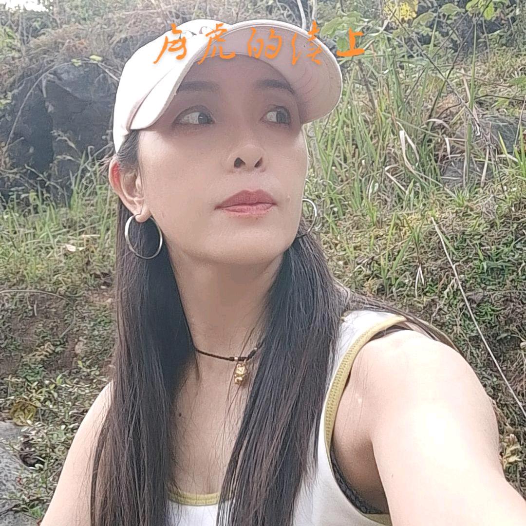 杨笨笨