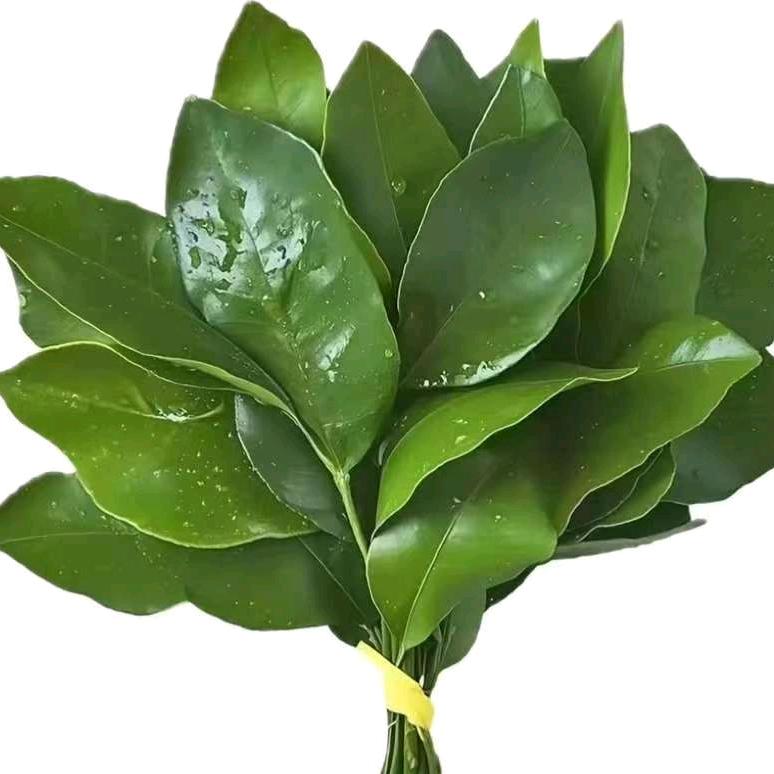 糕冷,