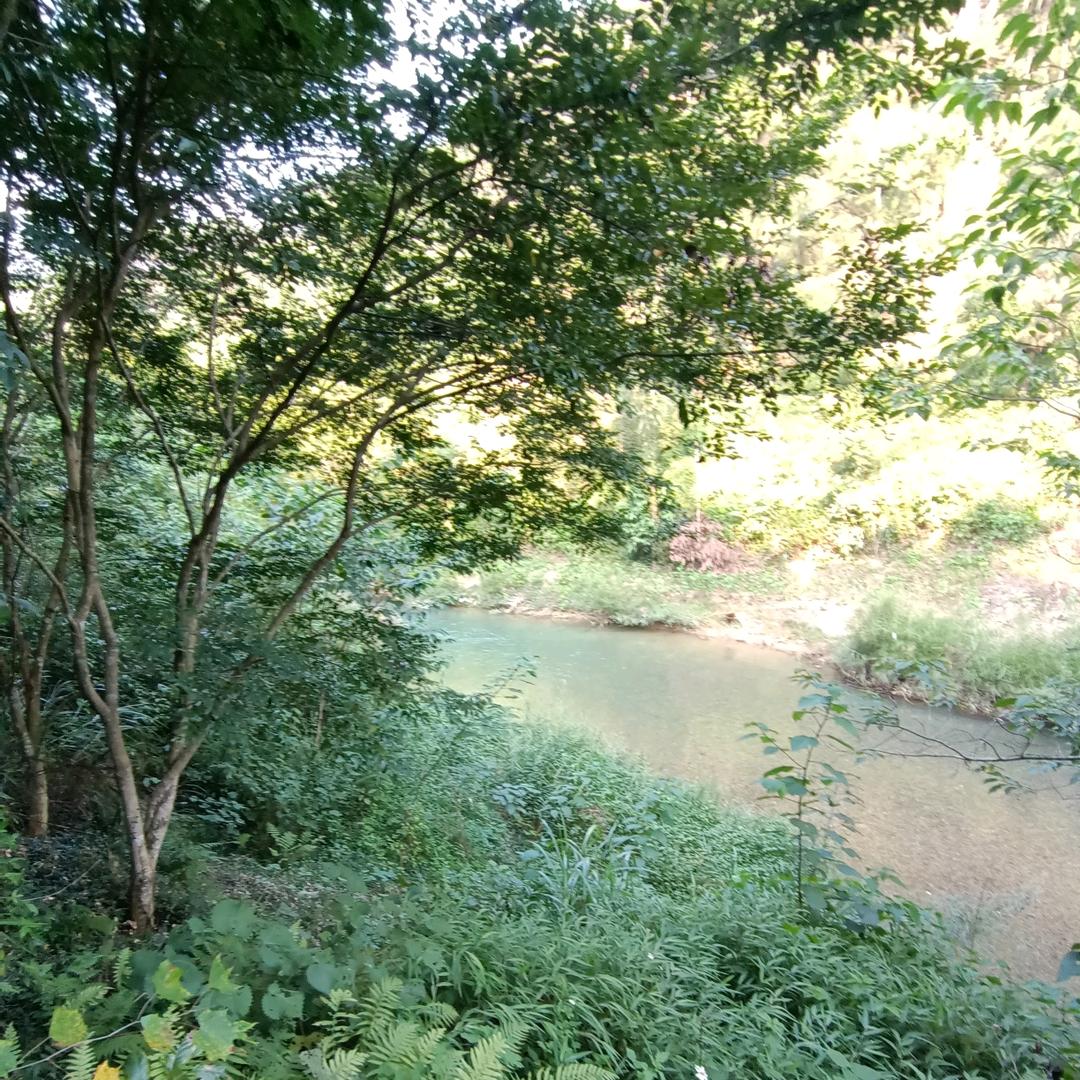 已为你重新规划新的路线