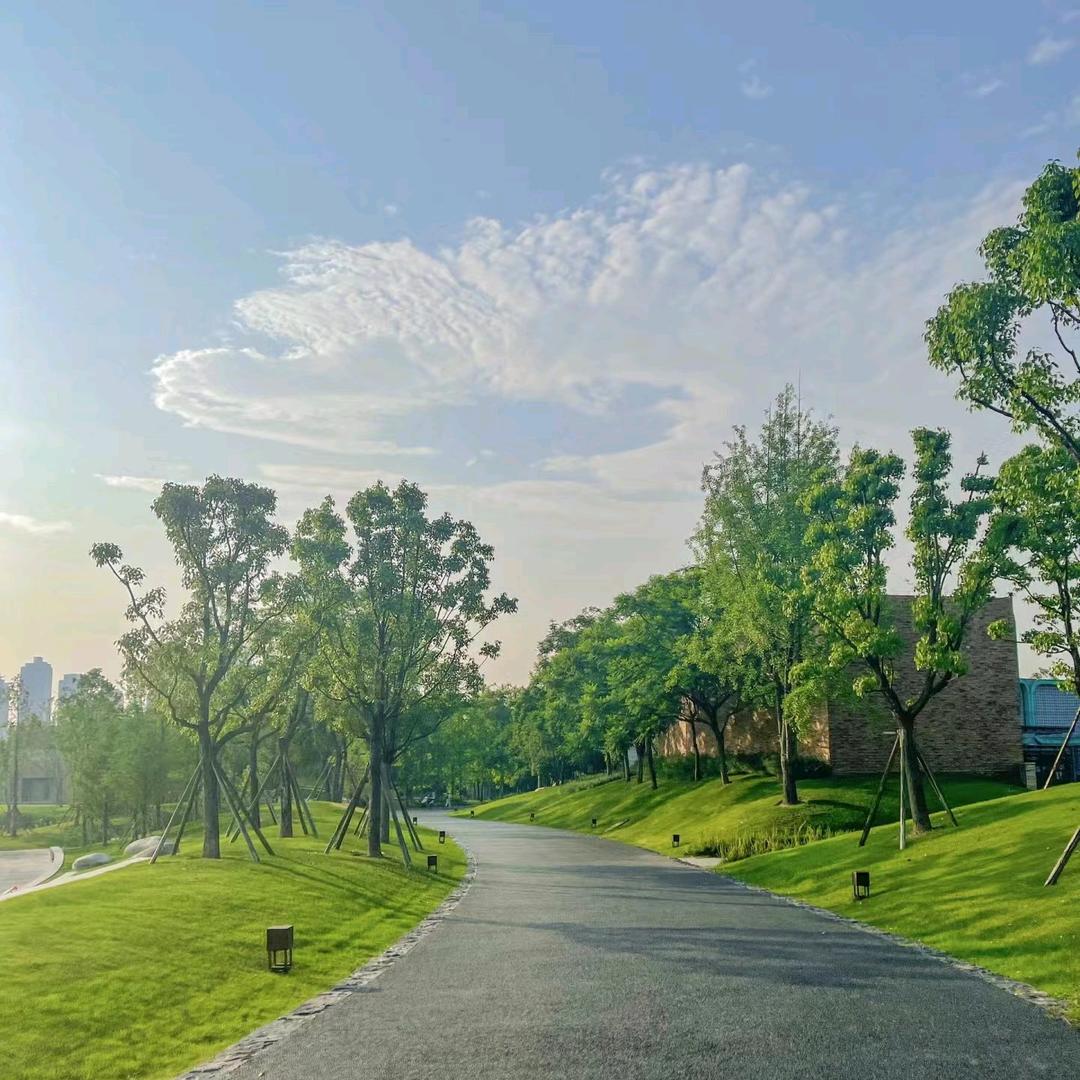 2025🌷🌹越过越好☔