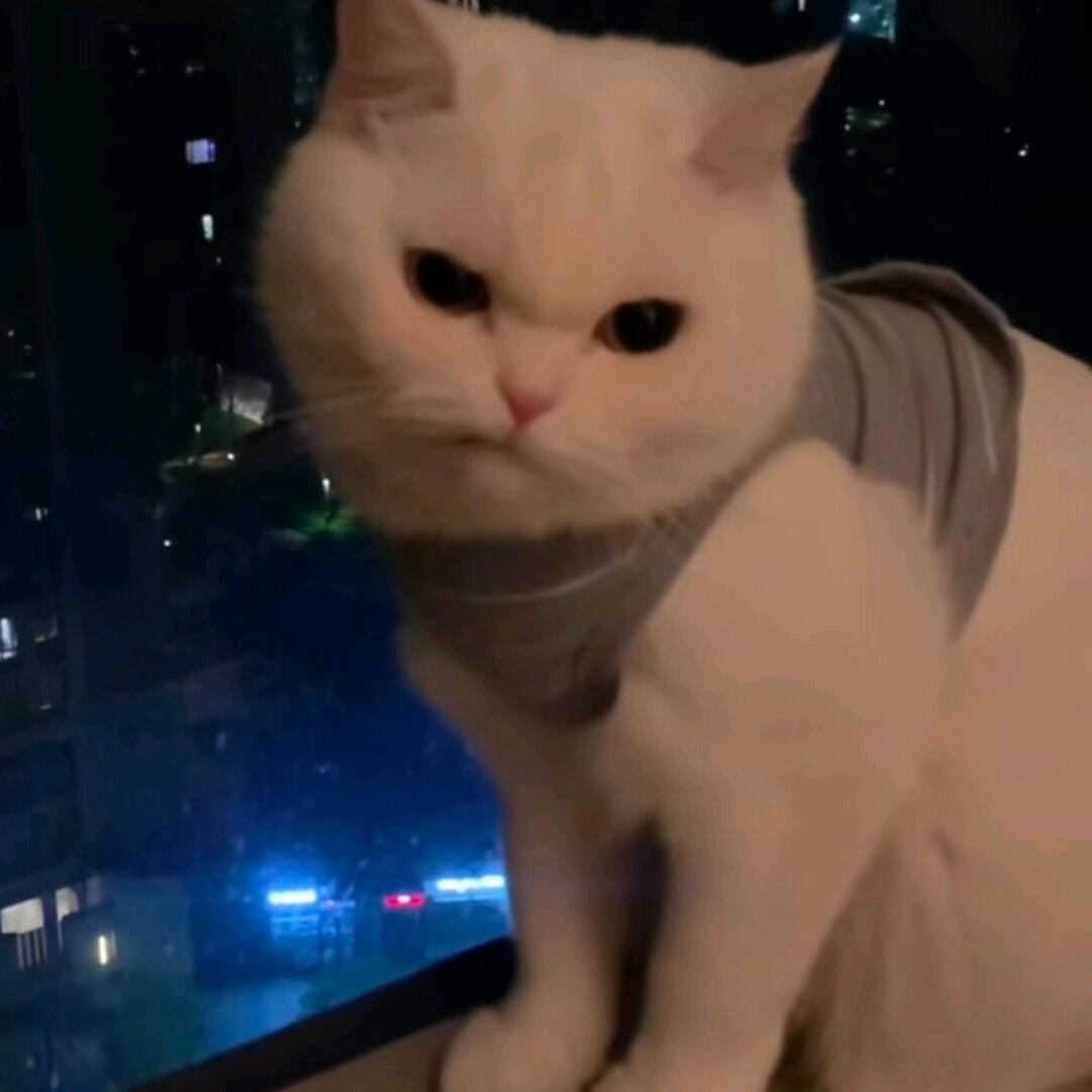 素牛排