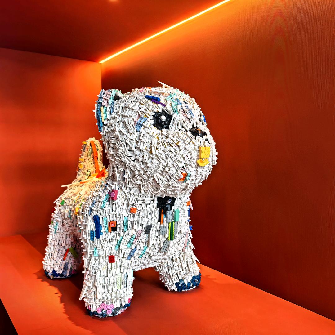 黄金纪元—生活美容馆（朴一）