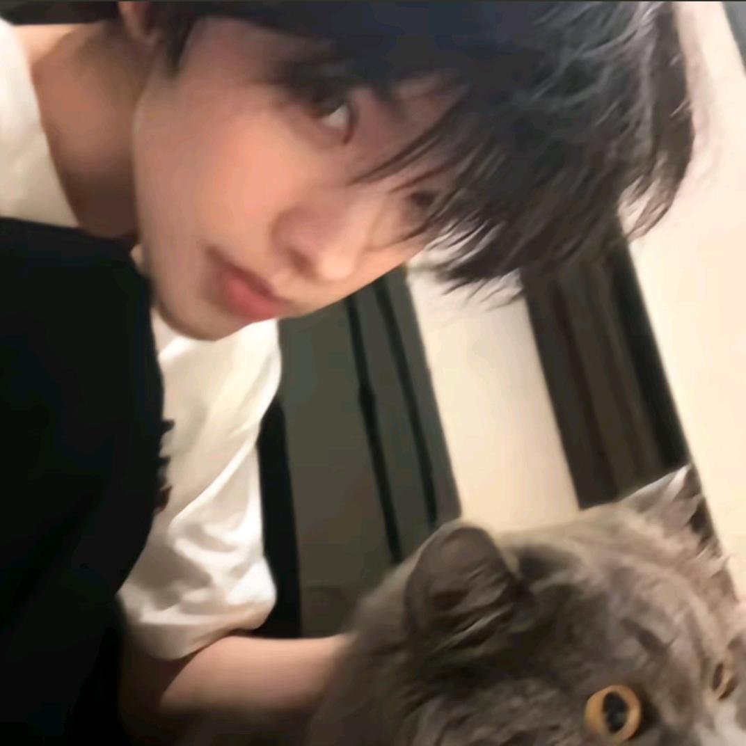 风语（分享版）