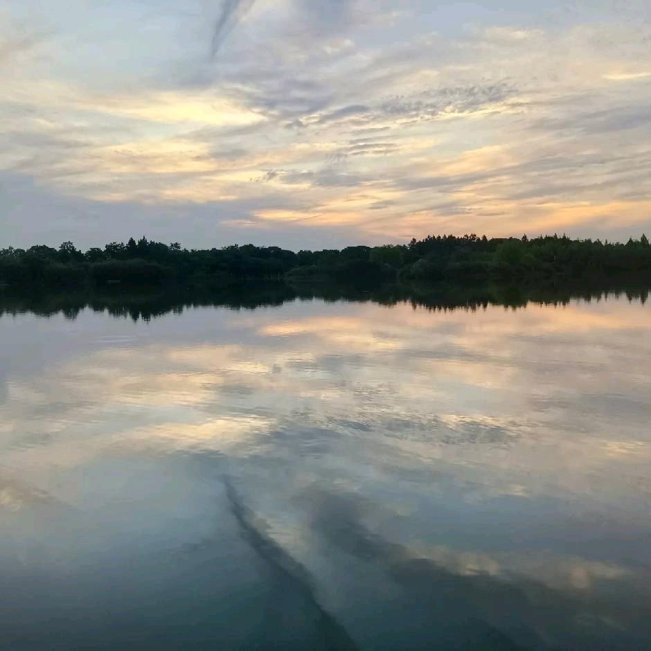 ￡寻觅者[玫瑰]