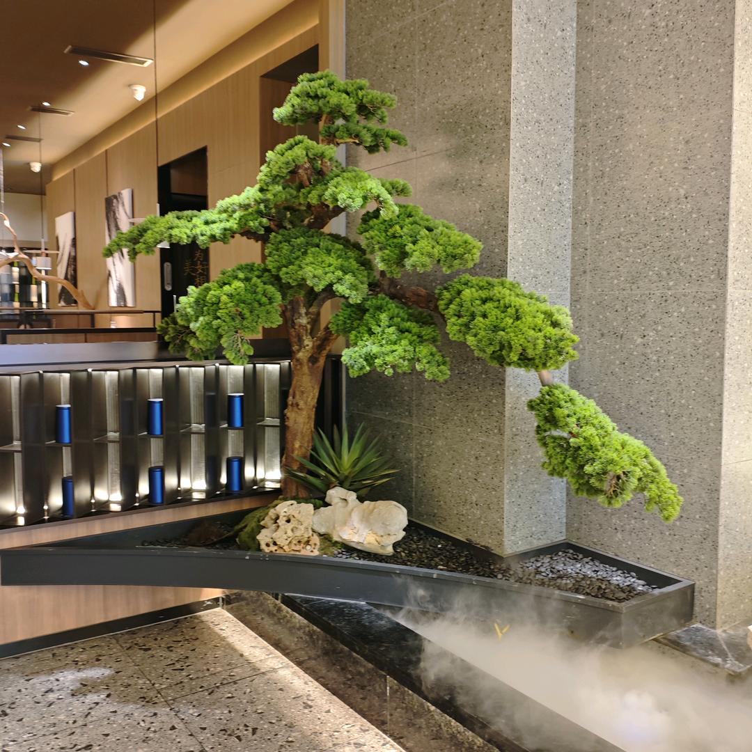 星光灿烂