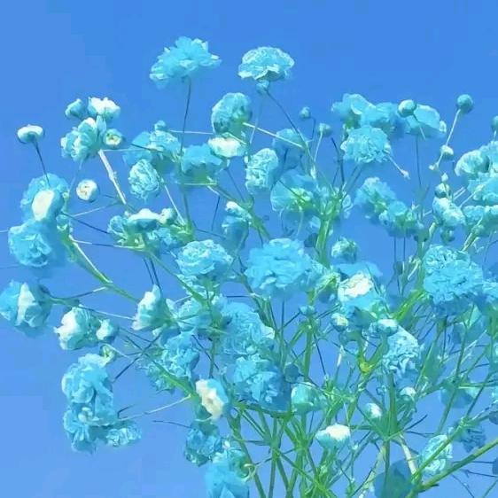 ～一点苦