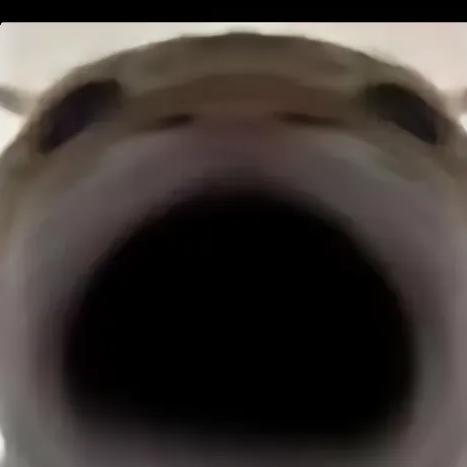 ····