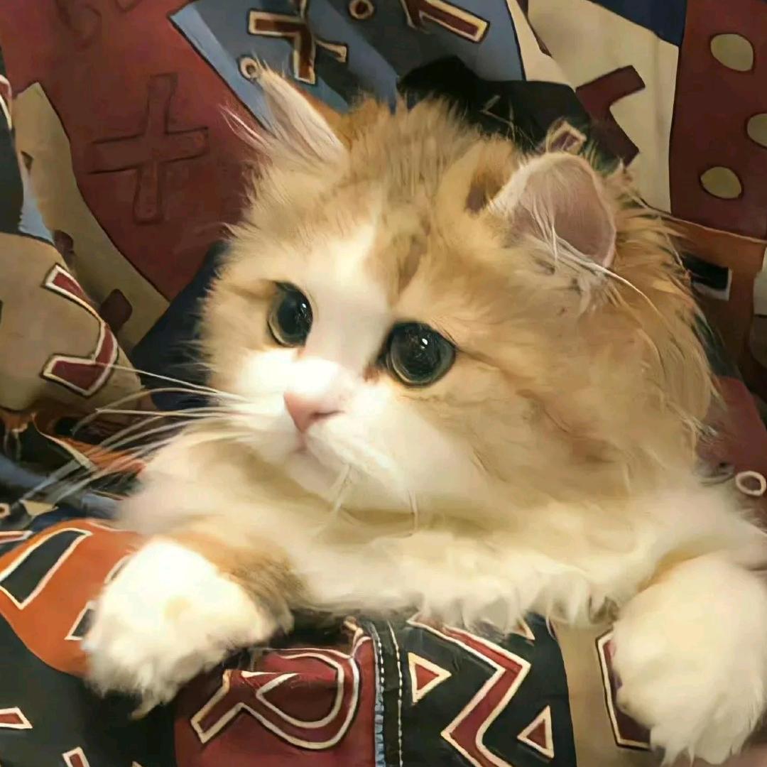 深情说