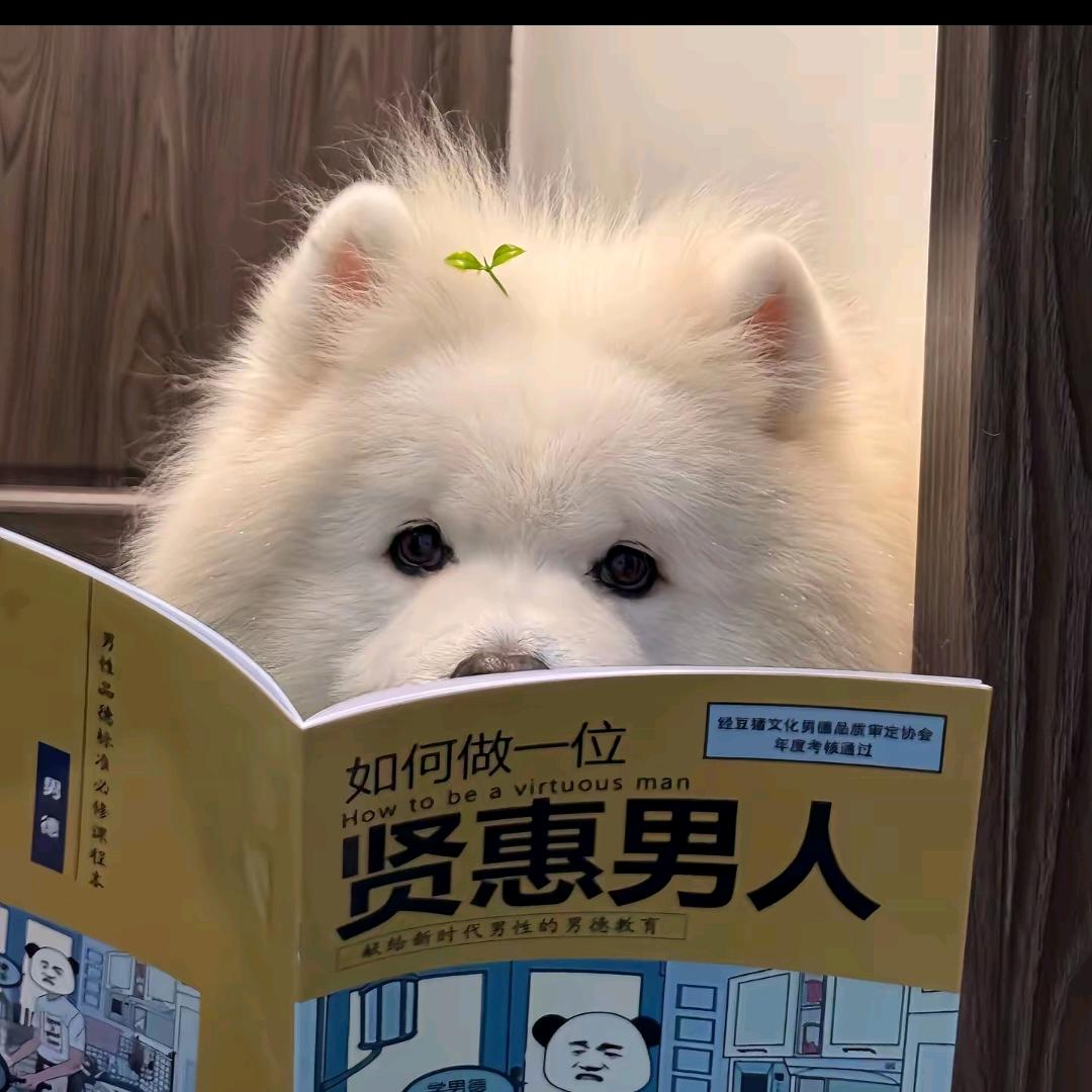 太湖美