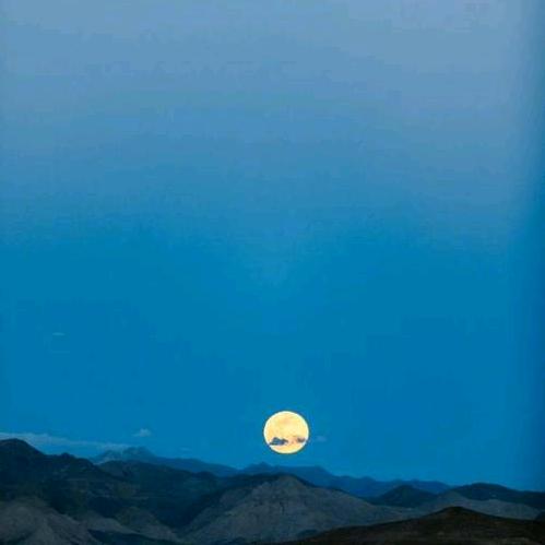 鹏仔（首播）