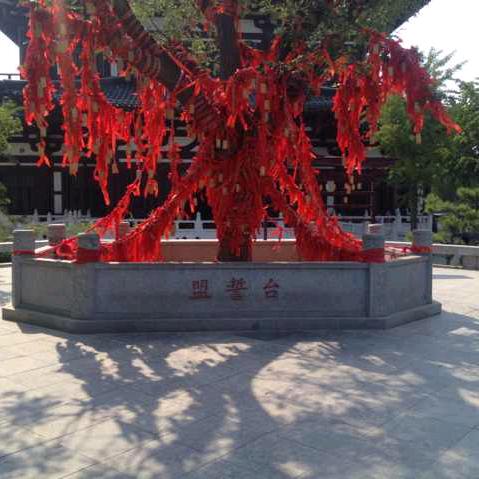 新征程