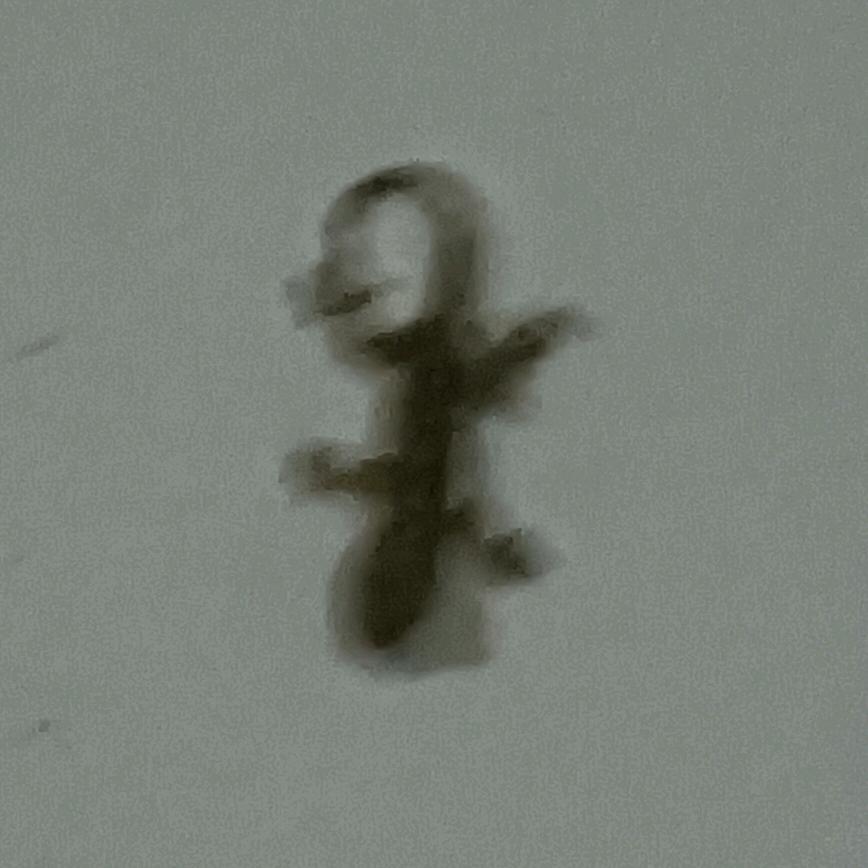 ？