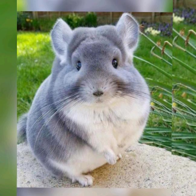 也是1029的子都(请勿连赞)