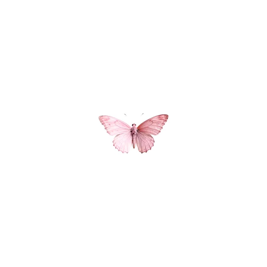 w³
