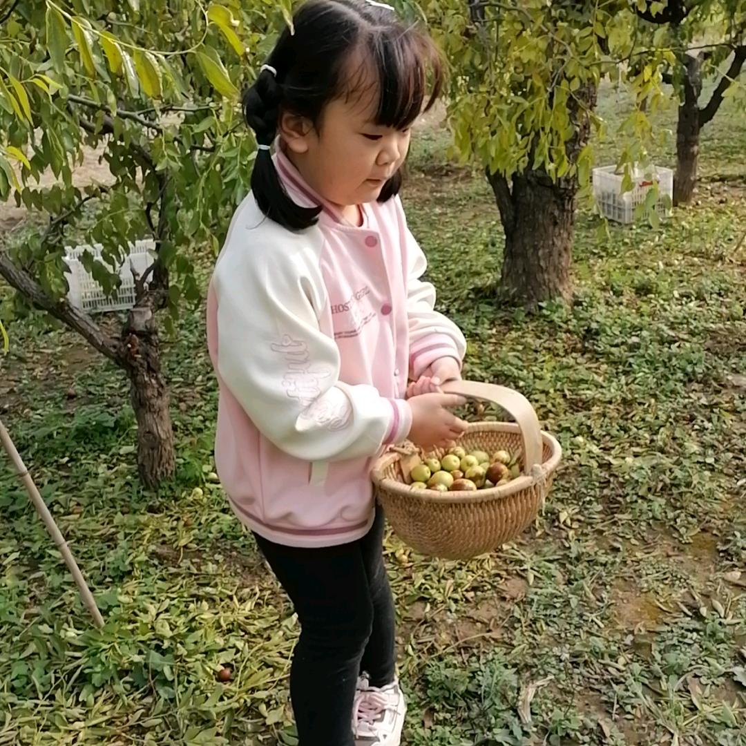 精致闽侯书法工作室