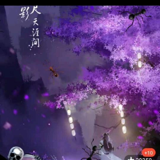 風過無痕，心静無塵