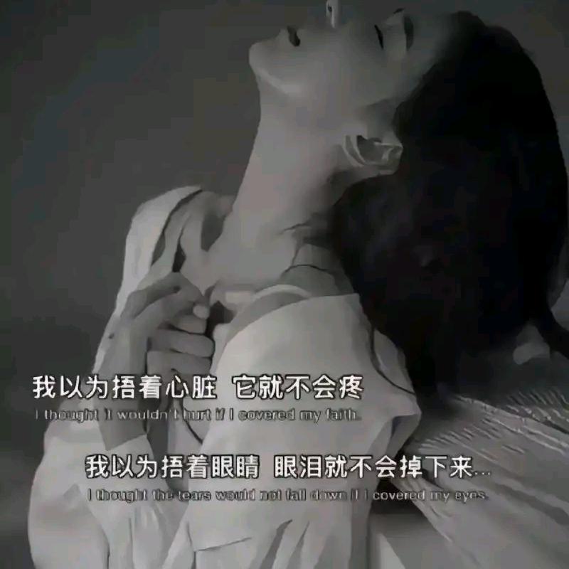 心碎💔的百合