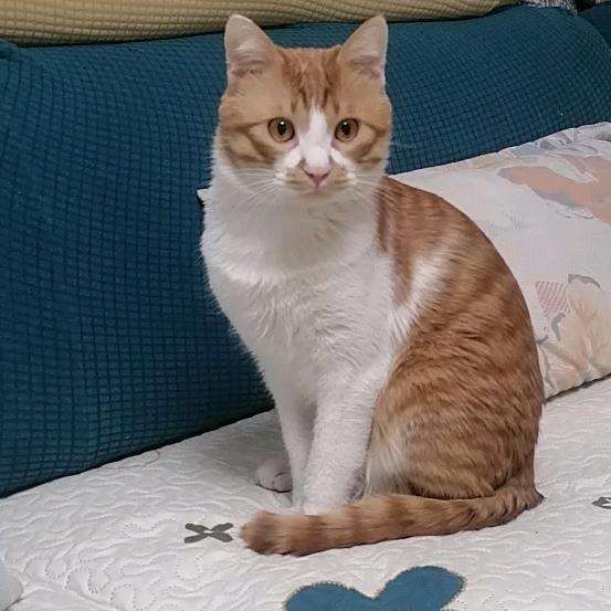 喵了个喵🌈🌈