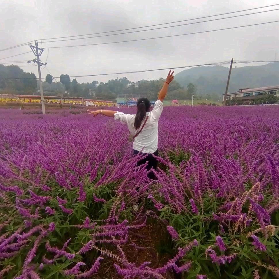 💔᭄ 忈╮ 災༊ ړঞᩚ: