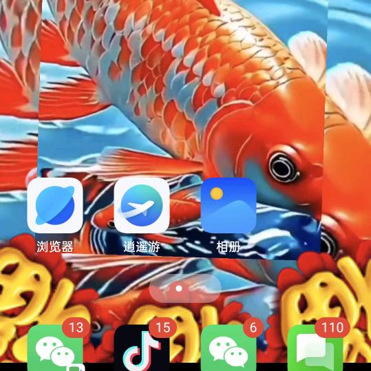 粉丝的