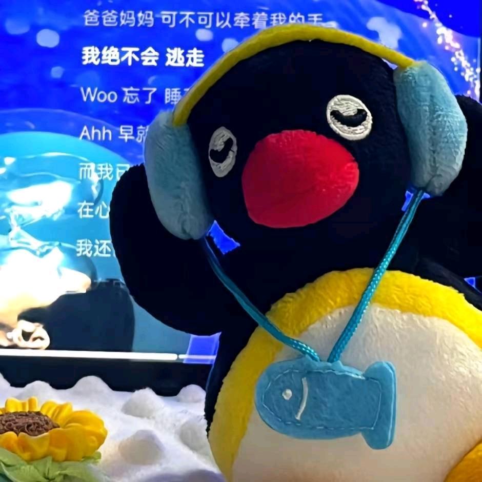 陈雨奇