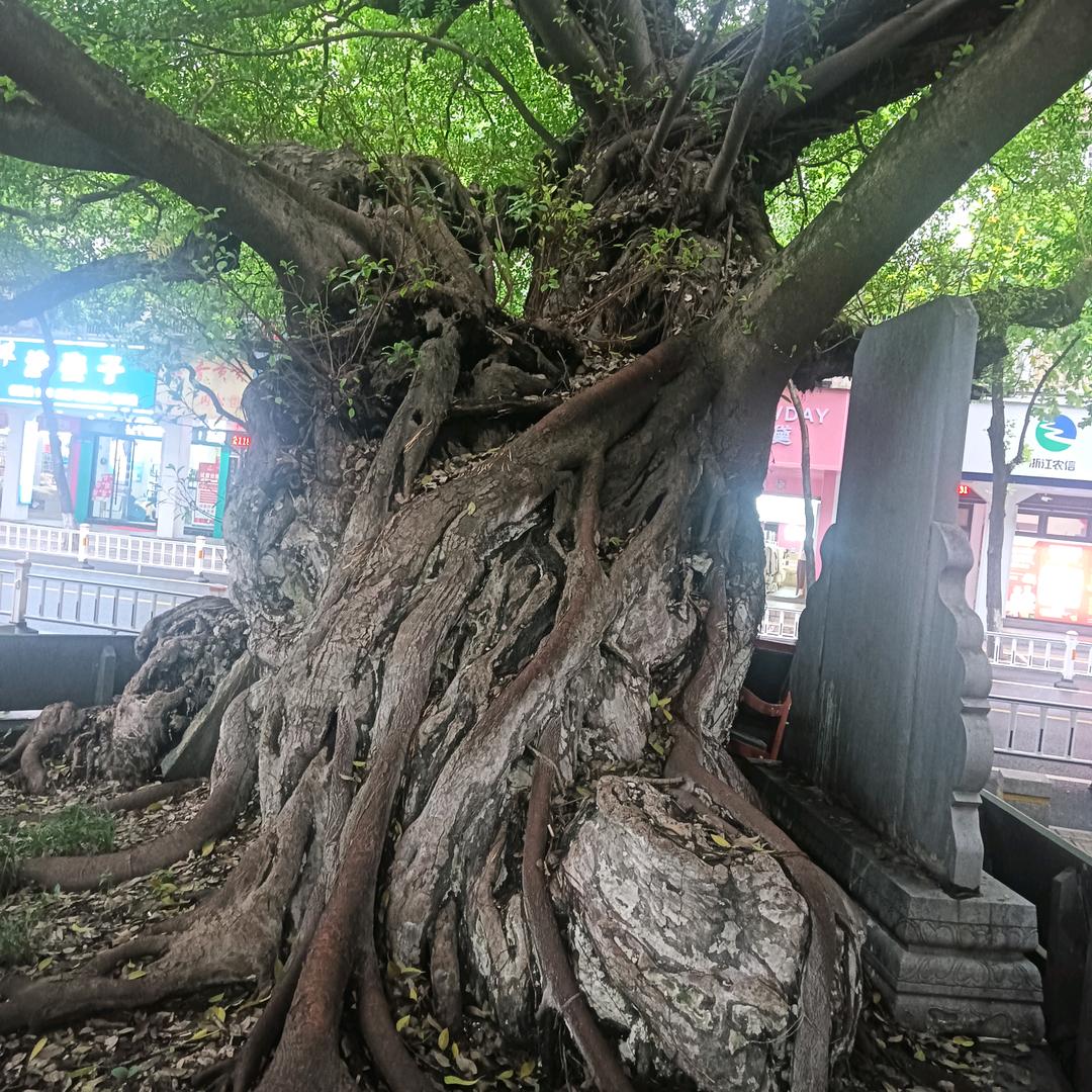 山的那一边