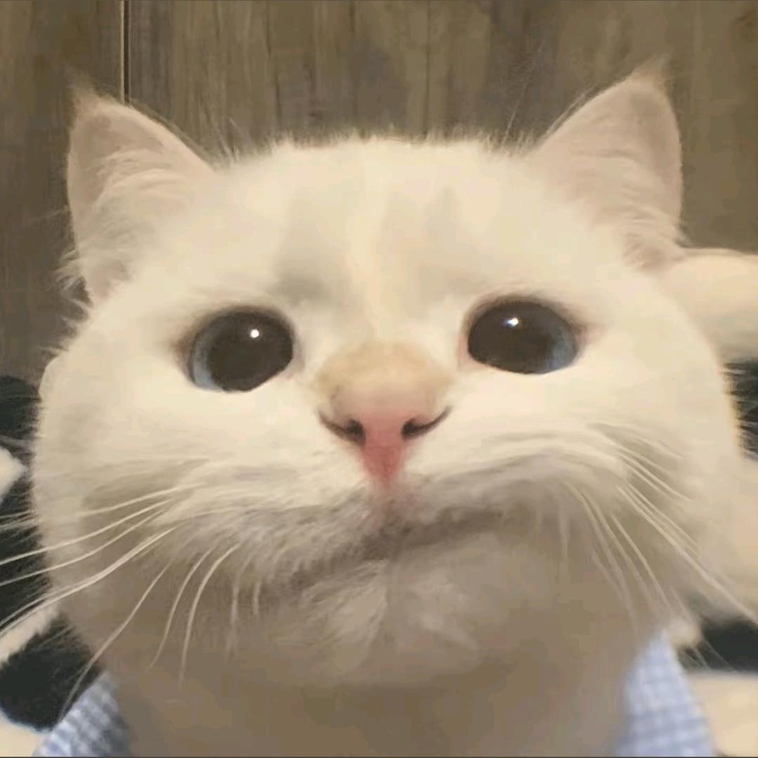 珉