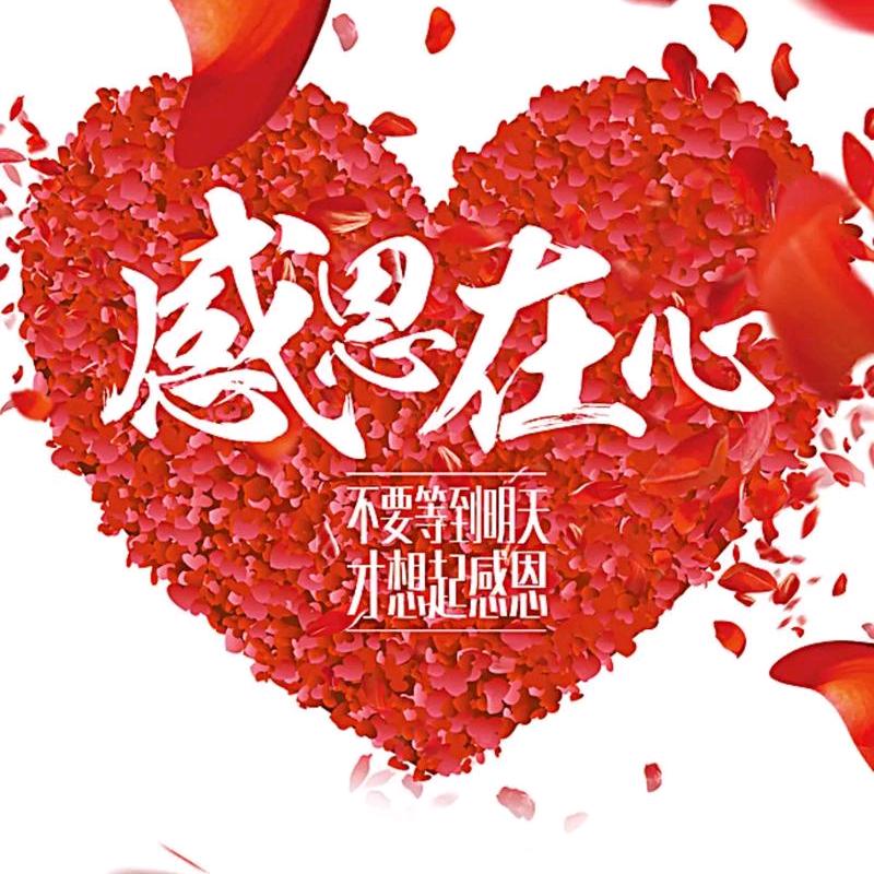真心真意过一生