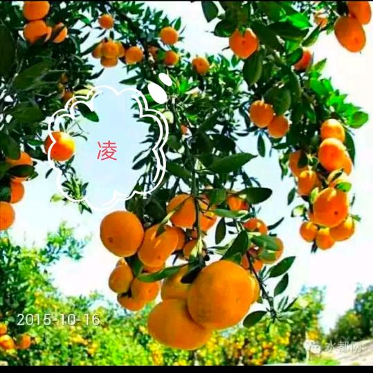 到了吃糖都不甜的年纪