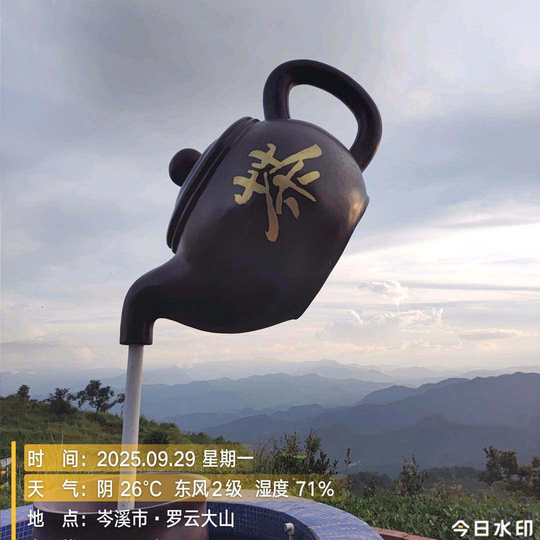 🌸越南妹
