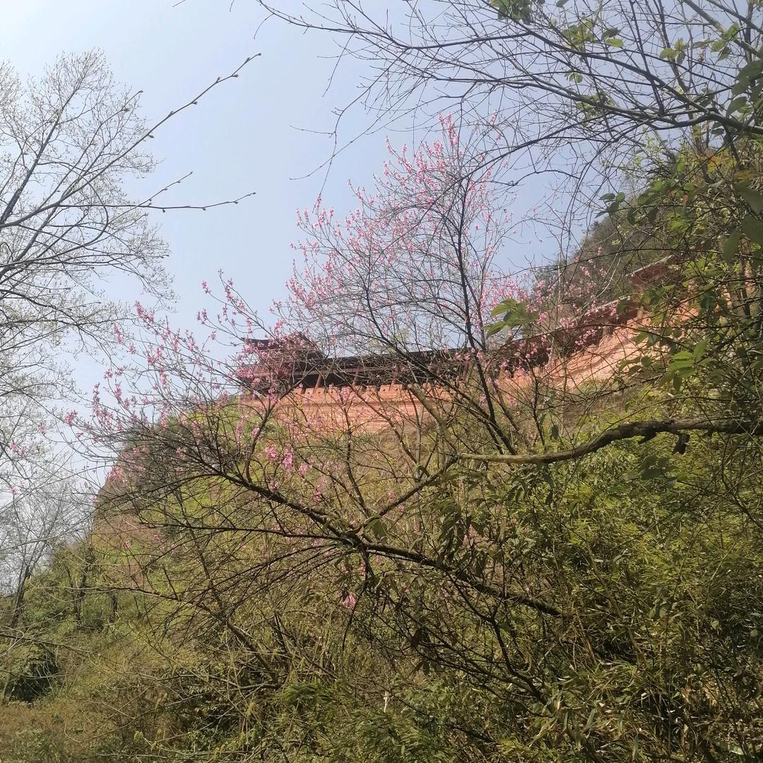 🐲往后余生，不再有你