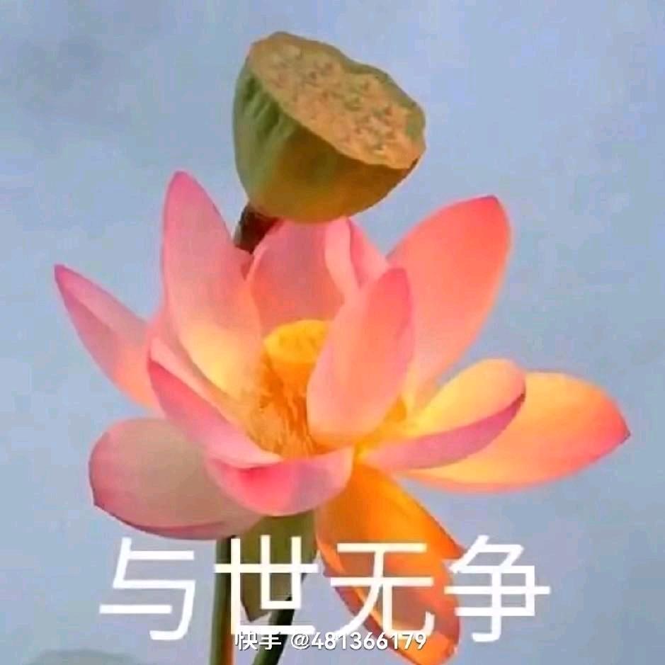 睡神