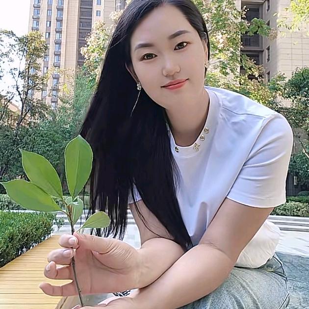 🌻君临芳华🌻
