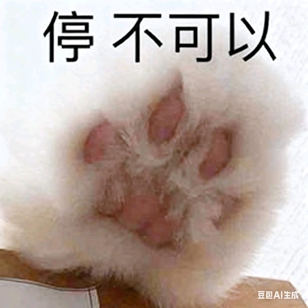 乐儿BB