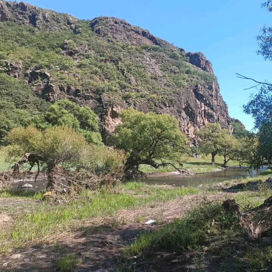 找回以前的记忆