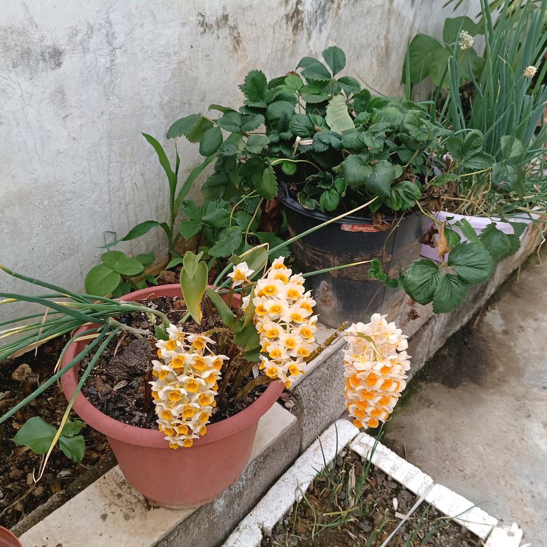 怀有