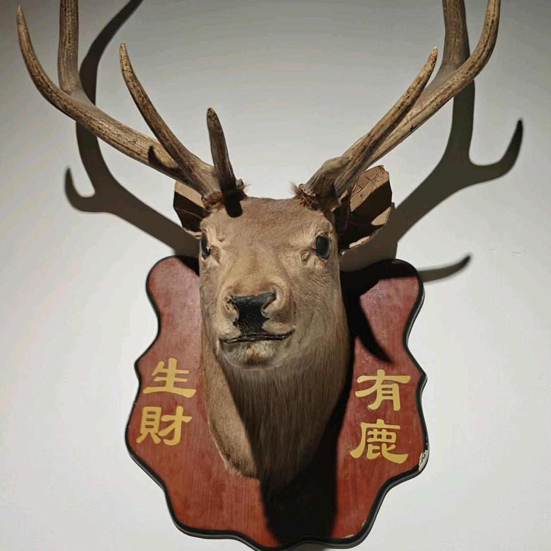 村娃的随拍（千人活跃群）