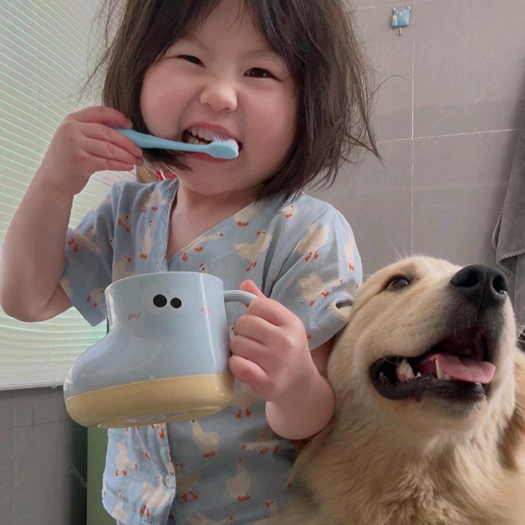 瓶