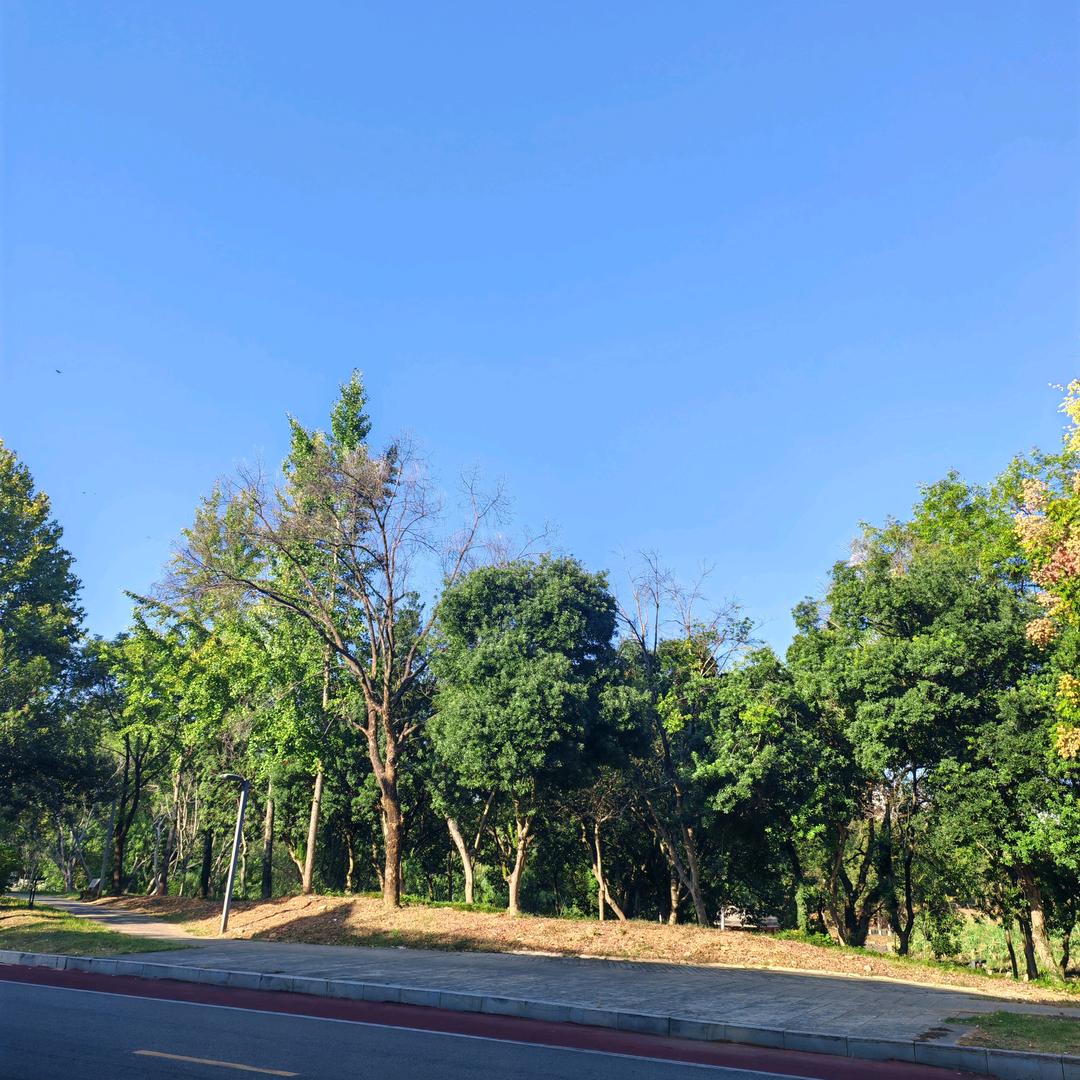 杭州天哥聊创业加油折扣卡月过1万以上