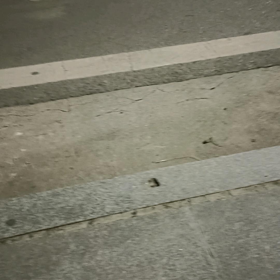◇洋