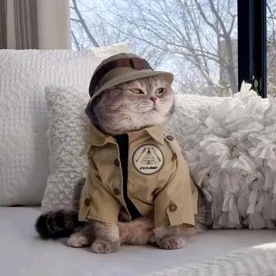 ༨Rꫀꪖᦔᵧₒᵤ🌙