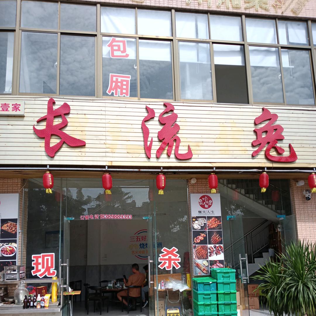 长流兔