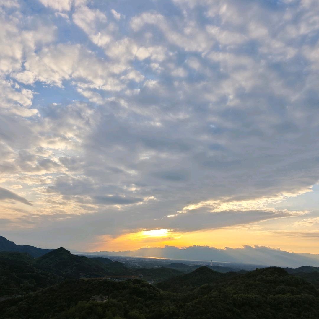 正赛嘉游泳培训