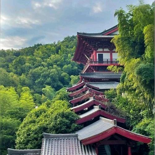元师兄