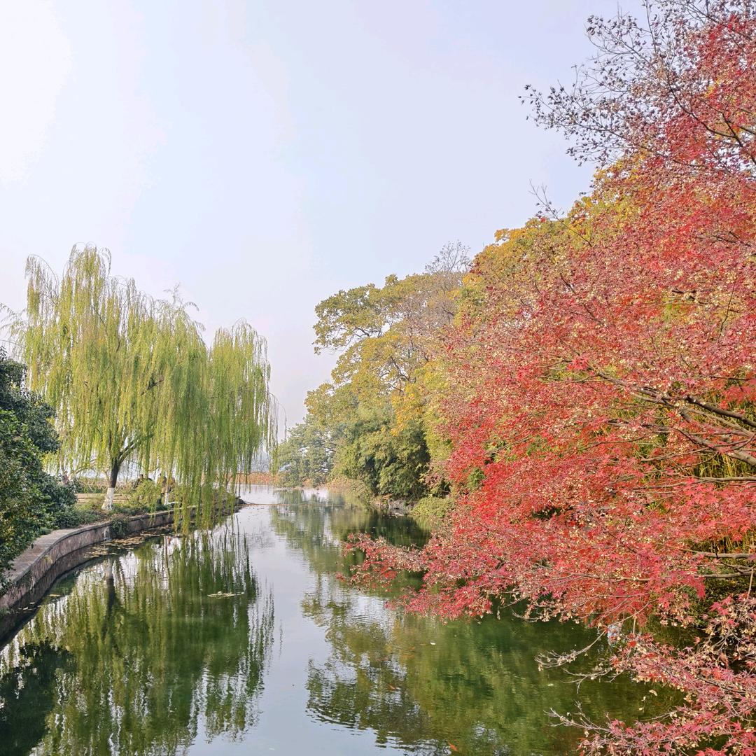 🍭一切随缘🎉