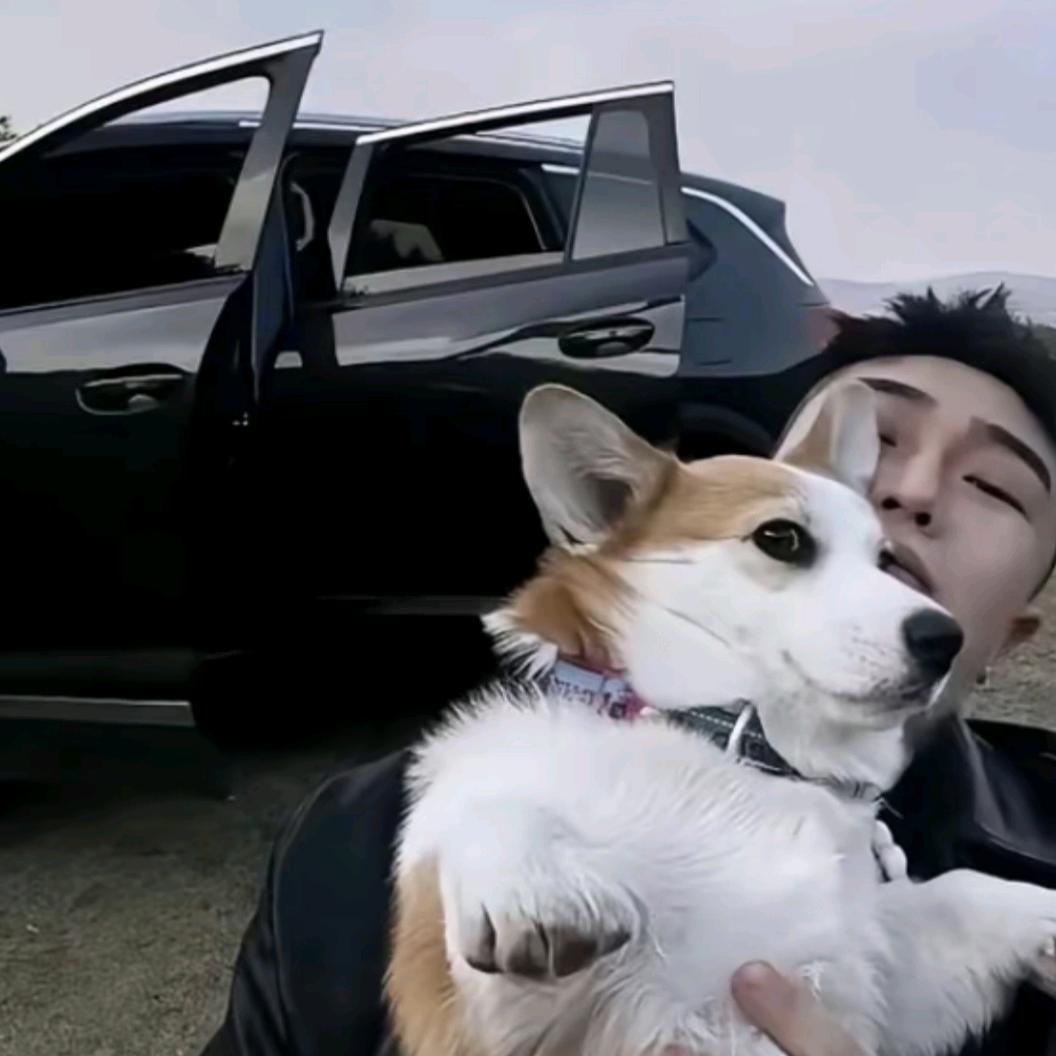 天意不可违