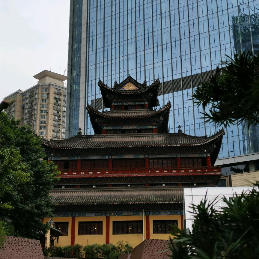 小鹿